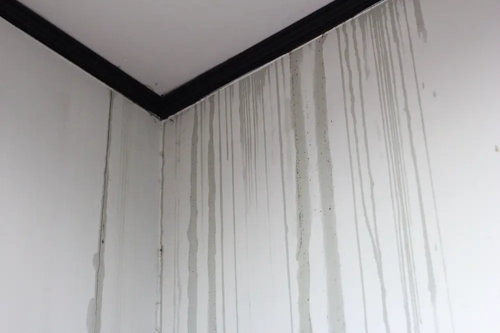 Common Signs of Condensation Problems