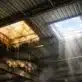 Skylight Leaks on Metal Roofs Repair, Replace, or Remove